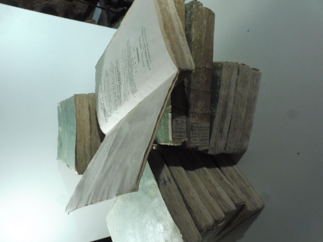 Nuovo dizionario istorico ovvero storia in compendio di tutti gli uomini che si sono resi illustri segnando le epoche... con tavole cronologiche... composto da una società di letterati in Francia.... Tomo I ( - XXII)